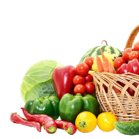 Fresh Fruits & Vegetables