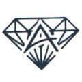 Anshi  Diamond